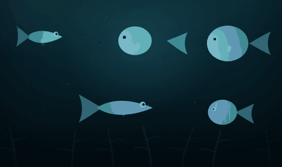 Fish swimming before one is caught and lifted in a net