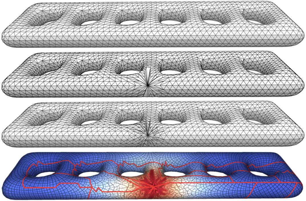 6-torus single cone