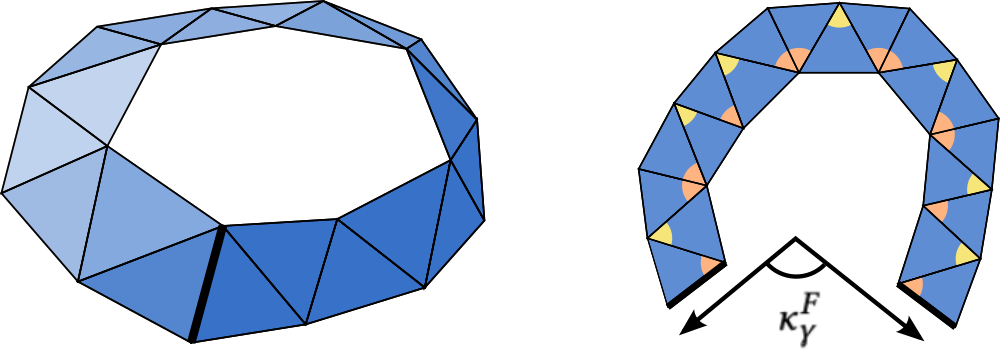 holonomy angle